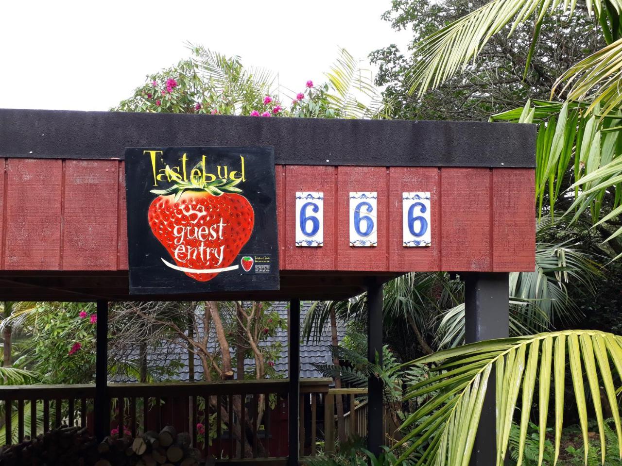 Tastebuds Bed N Breakfast Auckland Ngoại thất bức ảnh