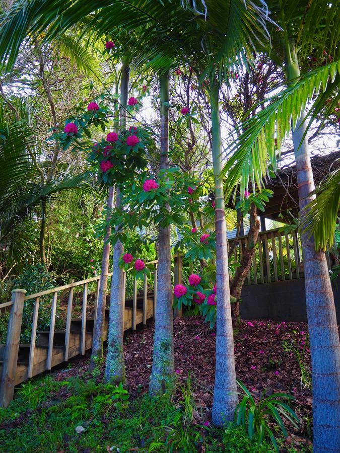 Tastebuds Bed N Breakfast Auckland Ngoại thất bức ảnh